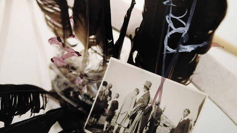 Collage mit Federn und Familienfoto