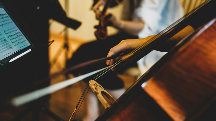 Streichmusiker mit Noten beim Konzert